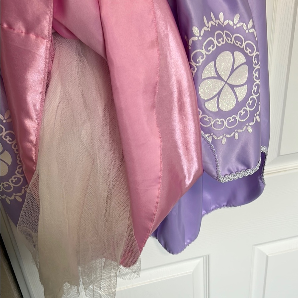 Purple and Pink Princess Dress - Princess Sophia the First - Picture 5 of 5